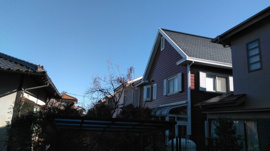 閑静な住宅街にあります。