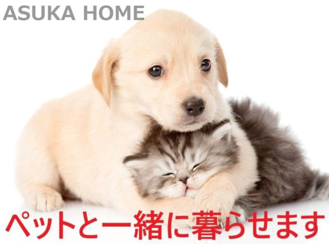 グランフォーレ戸塚ヒルブリーズ壱のその他|大切な家族のペットと一緒に暮らせる自然環境も良いマンションです