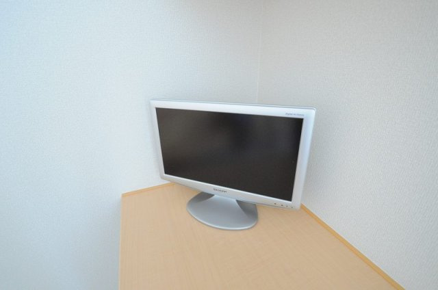 レオネクスト宮島のその他|テレビ