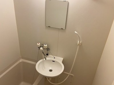 レオネクスト宮島の内装|洗面台