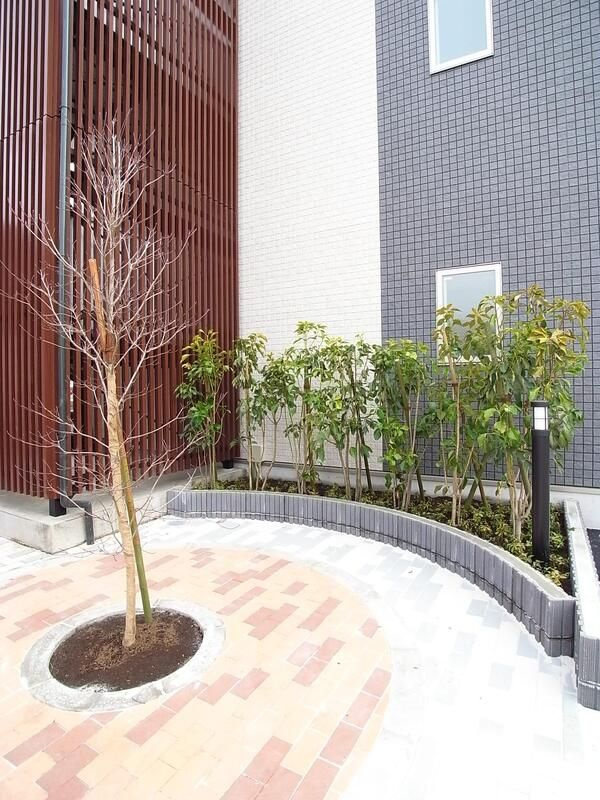 リブリ・アバンセのその他