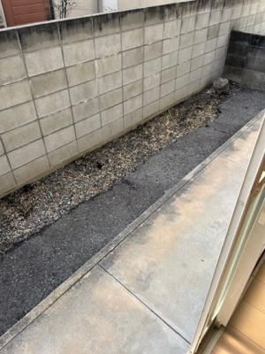 【庭】 | サンシャイン福泊 | たまにはお庭で休日を過ごしてみるのもよいかもしれません