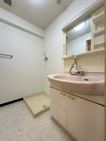 ラ・モードニシカワ1の洗面所