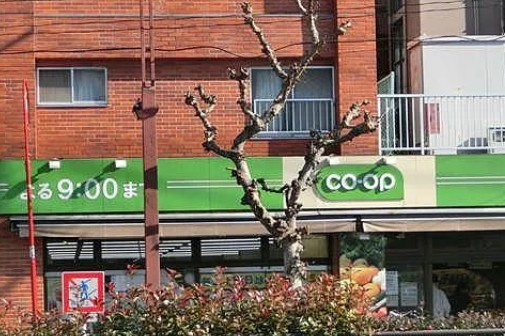 インプルーブ千川の周辺