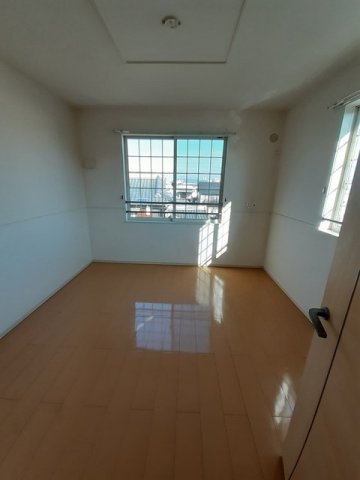 ノヴァジェントリーＫのその他