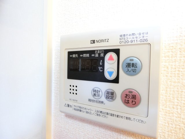 リュエルのその他