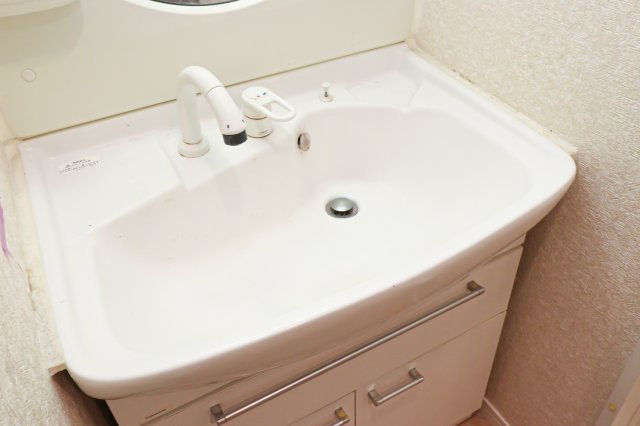 サヴォイグランデス　12階の独立洗面台|別号室のものになります。現状優先。