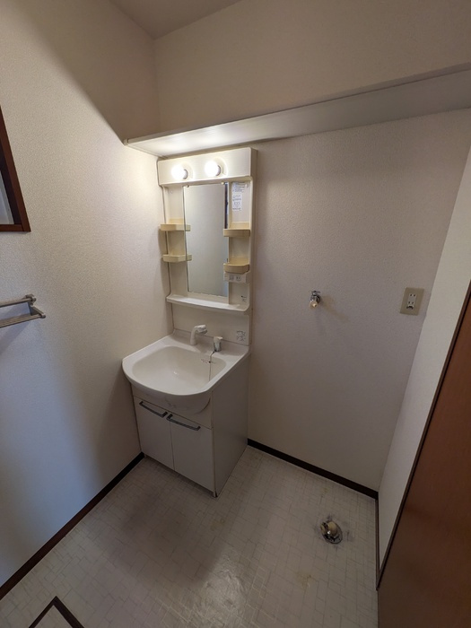 ホワイトオークハイツ　Bの洗面所