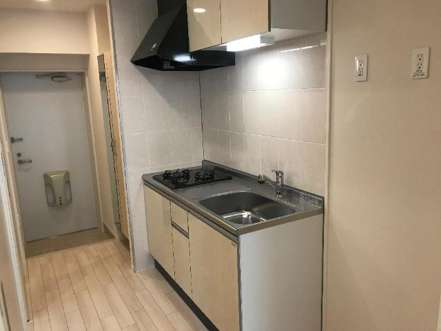 Reizen Ⅱ（ライツェン　ツヴァイ）のキッチン|システムキッチン