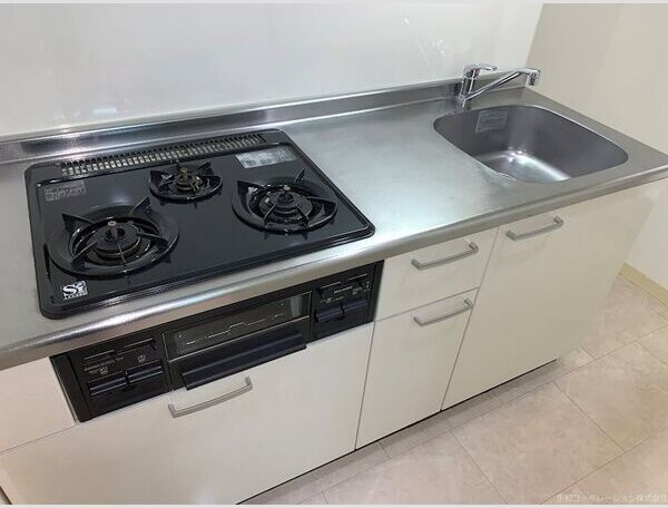 アモン リオ ブランシュのキッチン