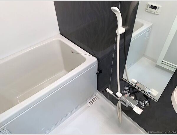 アモン リオ ブランシュの浴室