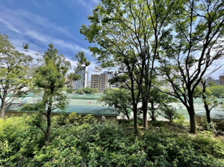 【展望】 | ウェルホームズ靭公園