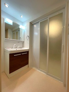 コスモ上野パークサイドシティの洗面所|洗面脱衣所