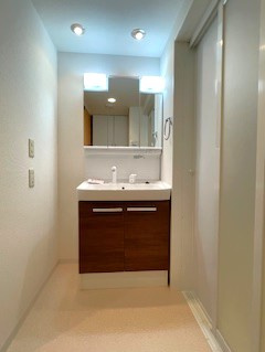 コスモ上野パークサイドシティの独立洗面台|独立洗面台