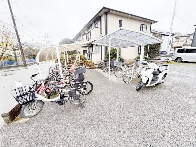 パナハイツアゼリア