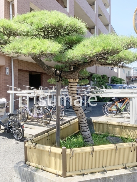 ｉ　ＢＵＩＬＤＩＮＧのエントランス|エントランスです！