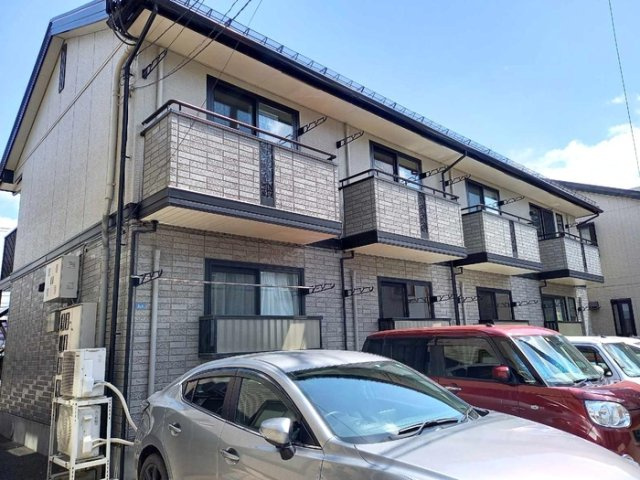 ピノ・ノワールの外観