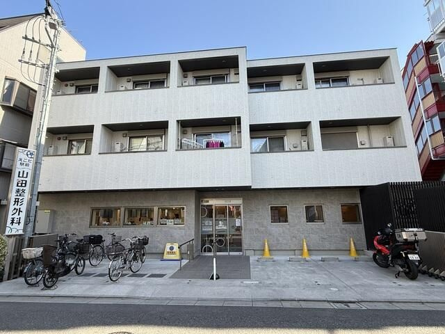 Ｐｅｎｎ．Ｃｕｒｔｉｓの外観