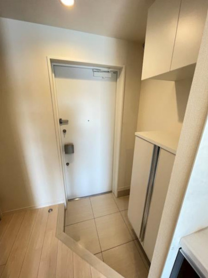 ディアレイシャス西大島駅前の玄関|参考画像