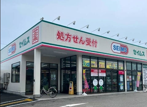 「カーポートつき」香美市土佐山田町宝町2丁目　中古一戸建ての周辺|セイムス土佐山田店