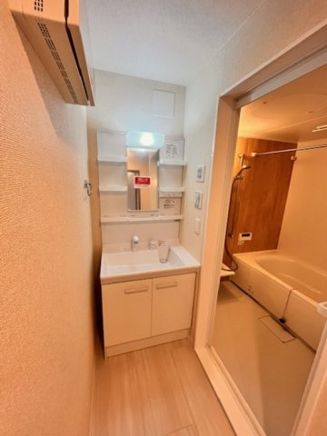 トリシアYの洗面所