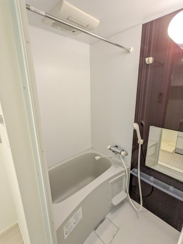 ハーモニーテラス大宝の浴室