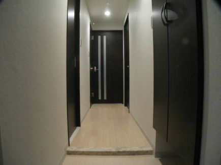 レジデンスヒルズの玄関|※別号室参考写真