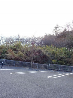 【駐車場】 | プラシードアルバ | 敷地内駐車場