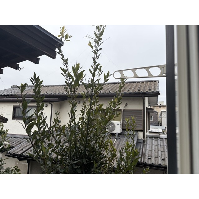 グランシャリオ