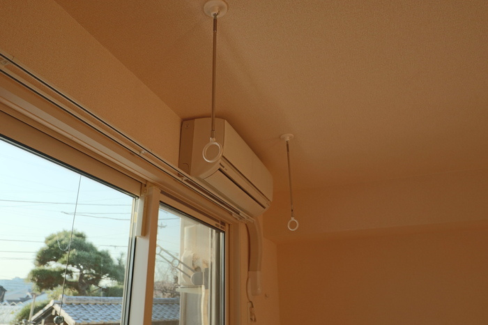 フローラのその他|その他