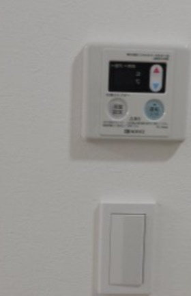 Ｎ・Ｙ・ＴＯＲＴＵＧＡ(エヌ・ワイ・トルトゥーガ) のその他|（同一仕様写真）