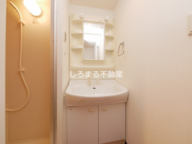 KDXレジデンス難波南の洗面所