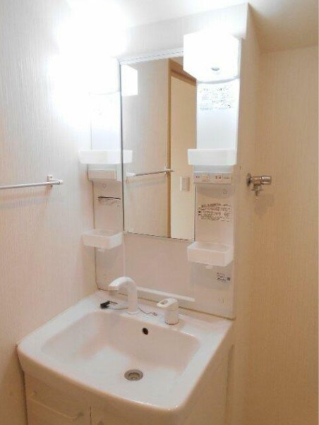 パレ・グリフォンの独立洗面台