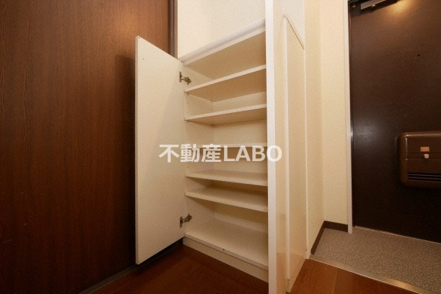 ルミノーゾスペランツァのその他