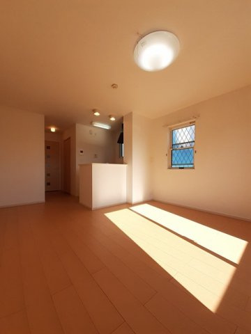 シンシアーのその他