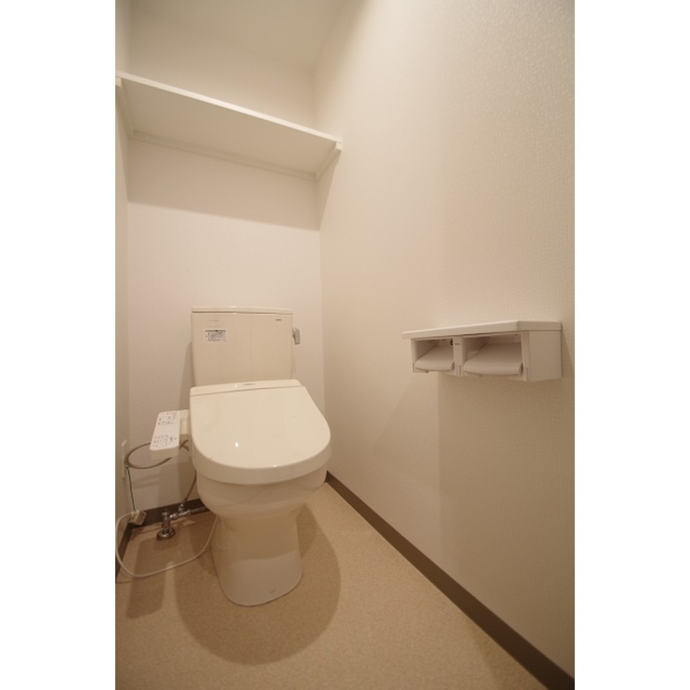 熊本市中央区小沢町の賃貸マンションのトイレ