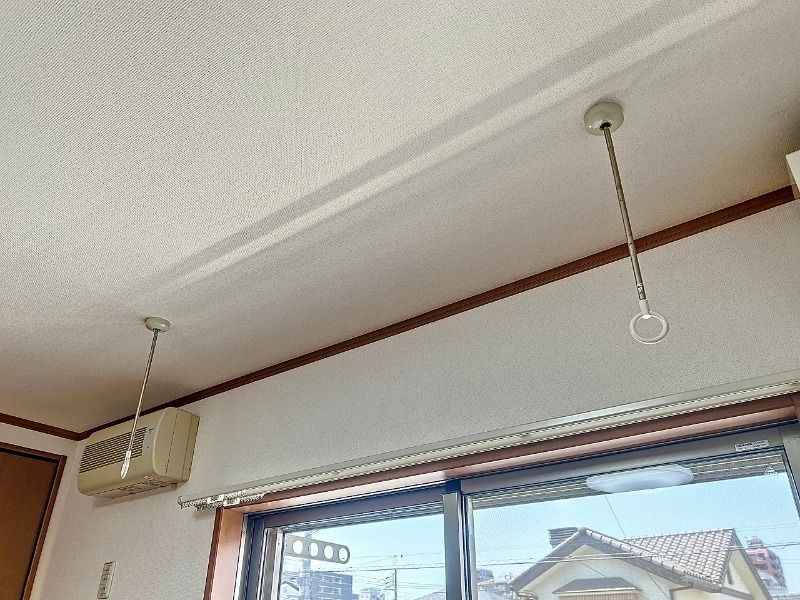 アガパンサスの設備