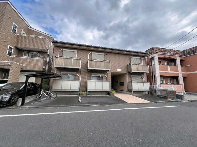 アガパンサスの外観