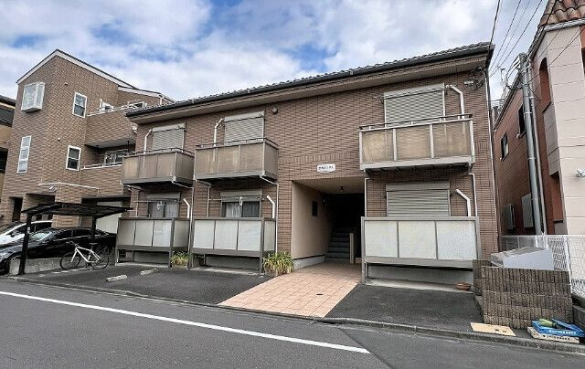 アガパンサスの外観