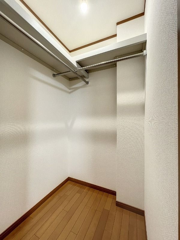 アガパンサスの収納