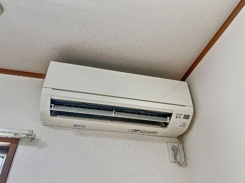 アガパンサスの設備