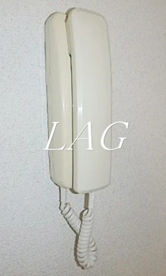 【セキュリティ】 | ＤＡＮＳＥＵＲ（ダンシ－ル）三佐香 | インターホンです。