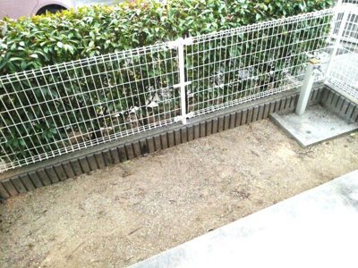 【庭】 | プリムローズ | お庭です