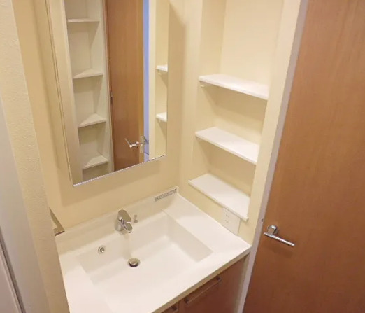 フレンシア田端南の洗面所