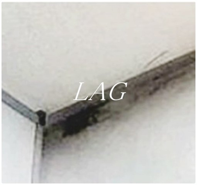 【バルコニー】 | パレドール高砂Ⅰ | バルコニーです。