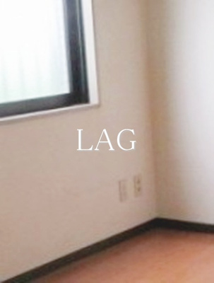 【居間・リビング】 | テラス三ノ輪 | 洋室のお部屋です。