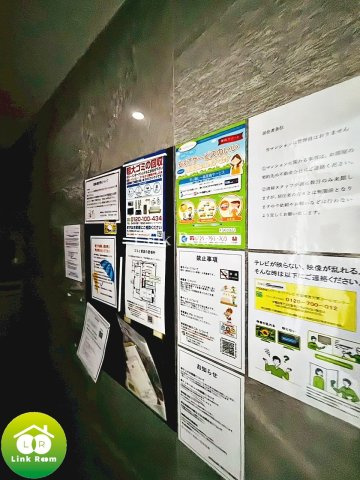 アルテシモ シェルトのその他