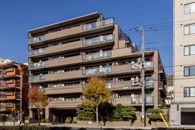 ステイツ岡本・甲南山手