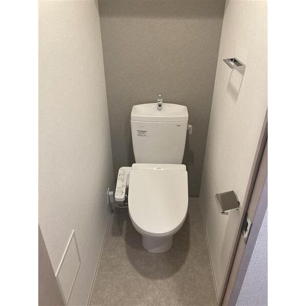 S-RESIDENCE堀田駅前futur(フチュール)　フリーレント・家具家電キャンペーン実施中!のトイレ