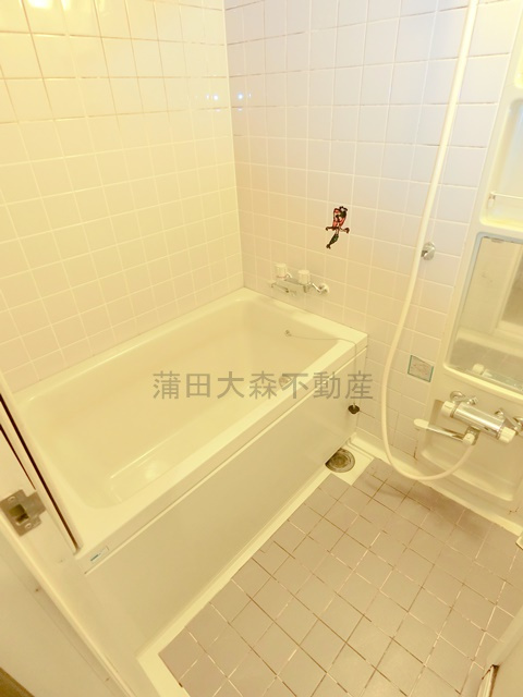 東急ドエル・アルス矢口の浴室